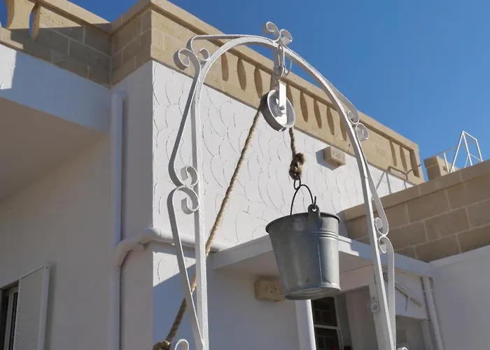 Ricco Di Stelle サヴェッレトリ