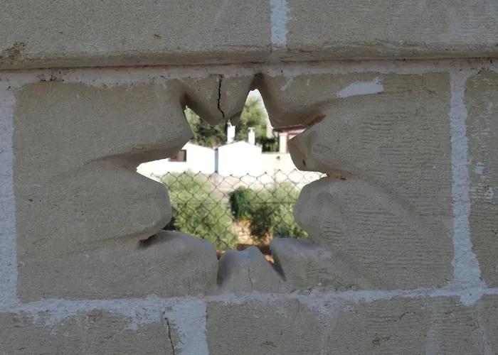 Ricco Di Stelle * サヴェッレトリ