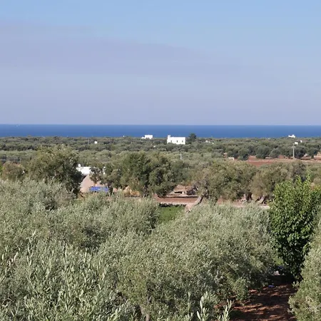 Ricco Di Stelle 萨维勒特里