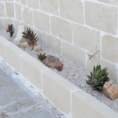 Ricco Di Stelle 公寓 萨维勒特里