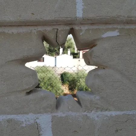 Ricco Di Stelle * 萨维勒特里